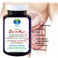 DarmKur Darmreinigung Darmsanierung 120 Kapseln Darmflora aufbauen Darmreinigungskur - Flohsamen Bentonit Präbiotika Ballaststoffe in EINEM. OHNE ZUSATZSTOFFE.