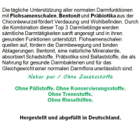 DarmKur Darmreinigung Darmsanierung 120 Kapseln Darmflora aufbauen Darmreinigungskur - Flohsamen Bentonit Präbiotika Ballaststoffe in EINEM. OHNE ZUSATZSTOFFE.