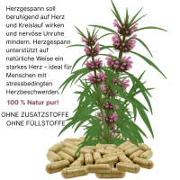 Echtes Herzgespannkraut HerzGesundKraut nach Hildegard von Bingen. Herzgespann (Motherwort) gehören seit Hildegard von Bingen zu den umgangssprachlich beliebten Herzgesundkräutern zur Freude von Herz- und Kreislauf.