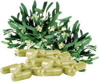 Mistel Mistelkraut 720 (4x180) Pulver Kapseln OHNE Zusatzstoffe