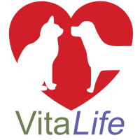 Zeolith Klinoptilolith für Haustiere 720 Pulver Kapseln