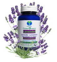 LAVENDEL pur [STRESS & NERVEN-KRAUT] 120 Blüten Pulver Kapseln nach Hildegard von Bingen für Beruhigung + Entspannung & schöner Schlaf + GUTE NACHT [ohne ZUSATZSTOFFE].