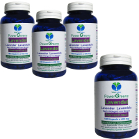 Lavendel Pur nach Hildegard von Bingen 720 Blüten Pulver Kapseln