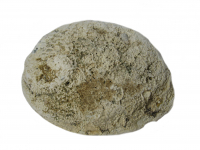 Räucherset mit Räuchermuschel 3-teilig