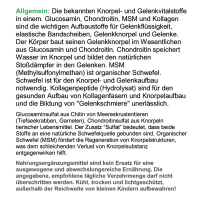 Knorpel & Gelenke Komplex ArthroWell 120 Kapseln mit Glucosamin Chondroitin MSM Kollagen.