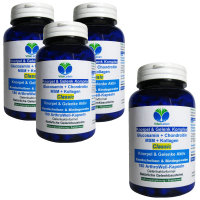 Knorpel & Gelenke Komplex Classic 720 ArthroWell Gelenk-Kapseln