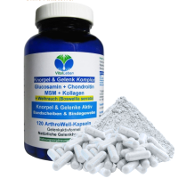 Knorpelaufbau KNORPEL und GELENKE 120 Kapseln Top-5 Komplex ►Gelenkkapseln mit Glucosamin, Chondroitin, MSM, Kollagen, Indischer Weihrauch. Natürliche Gelenkbausteine. OHNE ZUSATZSTOFFE.