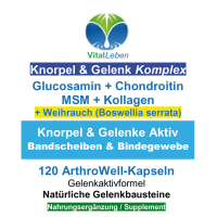 Knorpelaufbau KNORPEL und GELENKE 120 Kapseln Top-5 Komplex ►Gelenkkapseln mit Glucosamin, Chondroitin, MSM, Kollagen, Indischer Weihrauch. Natürliche Gelenkbausteine. OHNE ZUSATZSTOFFE.