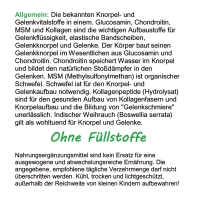 Knorpelaufbau KNORPEL und GELENKE 120 Kapseln Top-5 Komplex ►Gelenkkapseln mit Glucosamin, Chondroitin, MSM, Kollagen, Indischer Weihrauch. Natürliche Gelenkbausteine. OHNE ZUSATZSTOFFE.