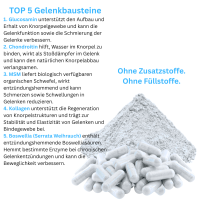 Knorpelaufbau KNORPEL und GELENKE 120 Kapseln Top-5 Komplex ►Gelenkkapseln mit Glucosamin, Chondroitin, MSM, Kollagen, Indischer Weihrauch. Natürliche Gelenkbausteine. OHNE ZUSATZSTOFFE.