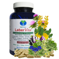 Leber Vital Komplex 12 KRÄUTER plus BITTERSTOFFE 180 Leberkapseln mit Mariendistel Artischocke Löwenzahn Enzian Klette Wermut Spargel uvm. 100% NATUR pur. OHNE Zusatzstoffe.
