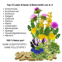 Leber Vital Komplex 180 Leberkapseln 12 Kräuter plus Bitterstoffe mit Mariendistel, Artischocke, Löwenzahn, Enzian, Spargel, Klette, Erdrauch, Kalmus, Galgant, Goldrute, Wermut und Tausendgüldenkraut. 100% NATUR pur. OHNE Zusatzstoffe.