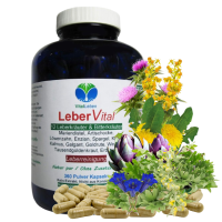 Leber Vital Komplex 12 KRÄUTER plus BITTERSTOFFE 360 Leberkapseln mit Mariendistel Artischocke Löwenzahn Enzian Klette Wermut Spargel uvm. 100% NATUR pur. OHNE Zusatzstoffe.