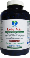 Leber Vital Komplex 360 Leberkapseln 12 Kräuter plus Bitterstoffe mit Mariendistel, Artischocke, Löwenzahn, Enzian, Spargel, Klette, Erdrauch, Kalmus, Galgant, Goldrute, Wermut und Tausendgüldenkraut. 100% NATUR pur. OHNE Zusatzstoffe.