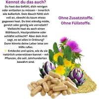 Leber Komplex Leber Galle Fettverdauung 120 Kräuter Kapseln