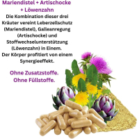 Leber Komplex Leber Galle Fettverdauung 720 Kräuter Kapseln