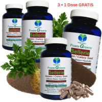 Selleriesamen 720 (4x180) Pulver Kapseln Celery Seed reine Sellerie Samen nach Hildegard von Bingen. 100% NATUR pur. OHNE ZUSAZSTOFFE. ►3+1 Dose GRATIS.