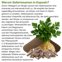 Selleriesamen Celery Seed 720 (4x180) Pulver Kapseln reine Sellerie Samen nach Hildegard von Bingen. 100% NATUR pur. OHNE ZUSAZSTOFFE. OHNE FÜLLSTOFFE. 3+1 Dose GRATIS.