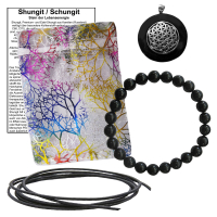 Shungit 6-tlg Set Donut Anhänger mit Blume des Lebens + 8mm Armband
