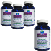 Flohsamen Premium Flohsamenschalen 720 Psyllium Ballaststoff Kapseln