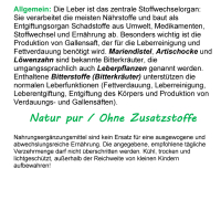 Leber Pflanzen TOP 3 Mariendistel + Artischocke + Löwenzahn 120 Kapseln