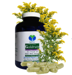 Echte Goldrute Solidago 360 Pulver Kapseln Nieren Blase Harnwege [OHNE Zusatzstoffe]
