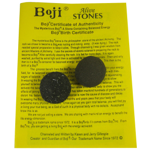 Boji® Paar Lebende Steine mit Booklet & Zertifikat ca. 35-40mm