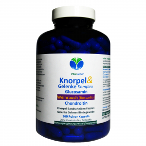 Knorpel & Gelenke Komplex Weihrauch Glucosamin Chondroitin 360 Pulver Kapseln