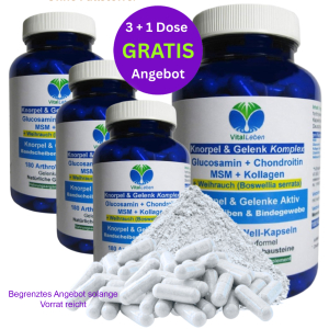 Knorpelaufbau KNORPEL und GELENKE 720 (4x180) Kapseln Top-5 Komplex ►Gelenkkapseln mit Glucosamin, Chondroitin, MSM, Kollagen, Weihrauch. OHNE ZUSATZSTOFFE. 3+1 Dose GRATIS!