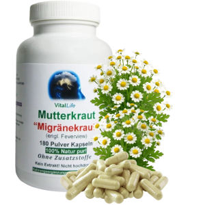 MUTTERKRAUT 180 Kapseln Migränekraut nach HILDEGARD VON BINGEN bei Kopfgewitter NATURDOSIERT = 100% NATUR pur. OHNE ZUSATZSTOFFE.