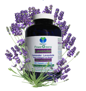 Lavendel Pur nach Hildegard von Bingen 360 Blüten Pulver Kapseln
